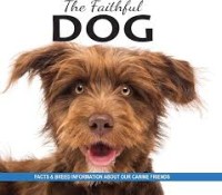 Image of The Faithful Dog